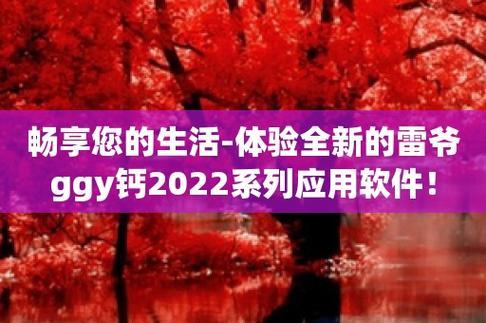 2030游戏纪元，钙Gy钙站的搞笑误解