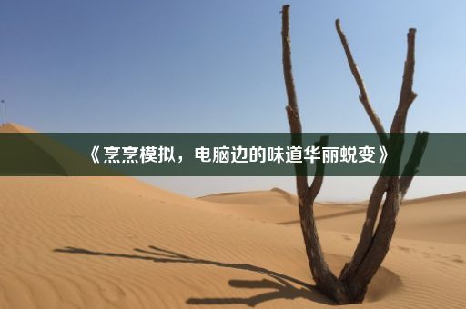 《烹烹模拟，电脑边的味道华丽蜕变》