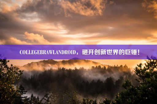  COLLEGEBRAWLANDROID，砸开创新世界的巨锤！